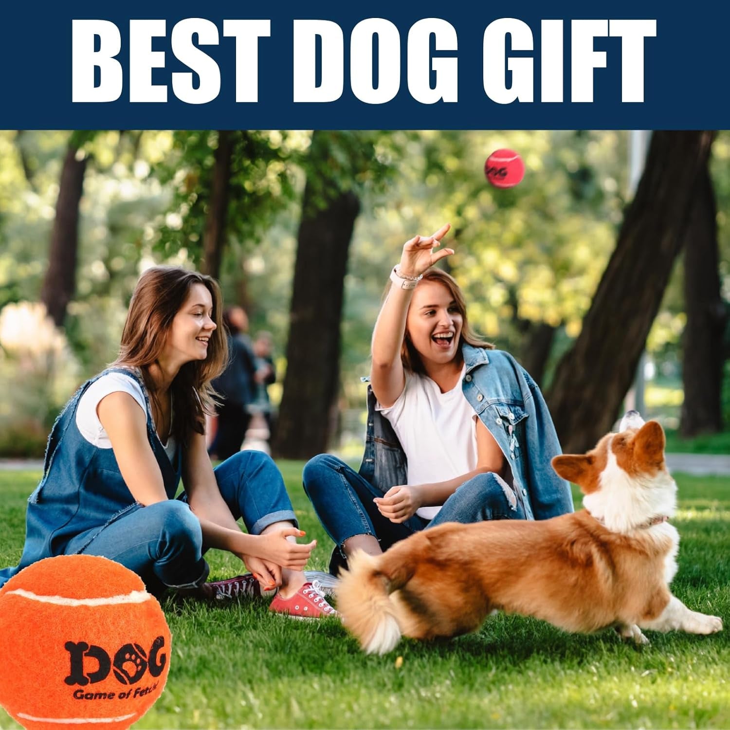Tennis Balls for Dogs 12 Pack 2.5" Orange Dog Tennis Balls for Puppy Small Medium Dog Toys, Designed for Dogs Floating, Water-Hunting, Fetch, Fun Playing, Daily Exercise, Mid-Air Catching