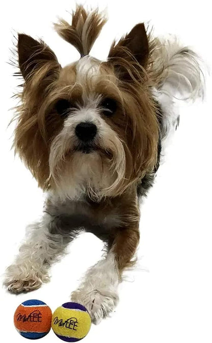 Squeaky Mini Tennis Ball for Dogs 1.5"- Pack of 12 (Yellow/Purple)