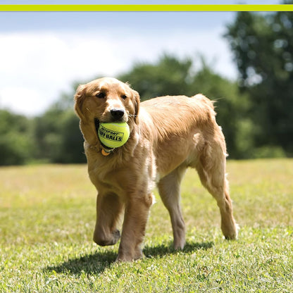 Mini Tuff Ball - Tennis Balls for Small Dogs, Great for Boredom and Aggressive Chewers, Interactive, Certified Non-Toxic, Won’T Wear down Teeth - 1.5" (Pack of 2)