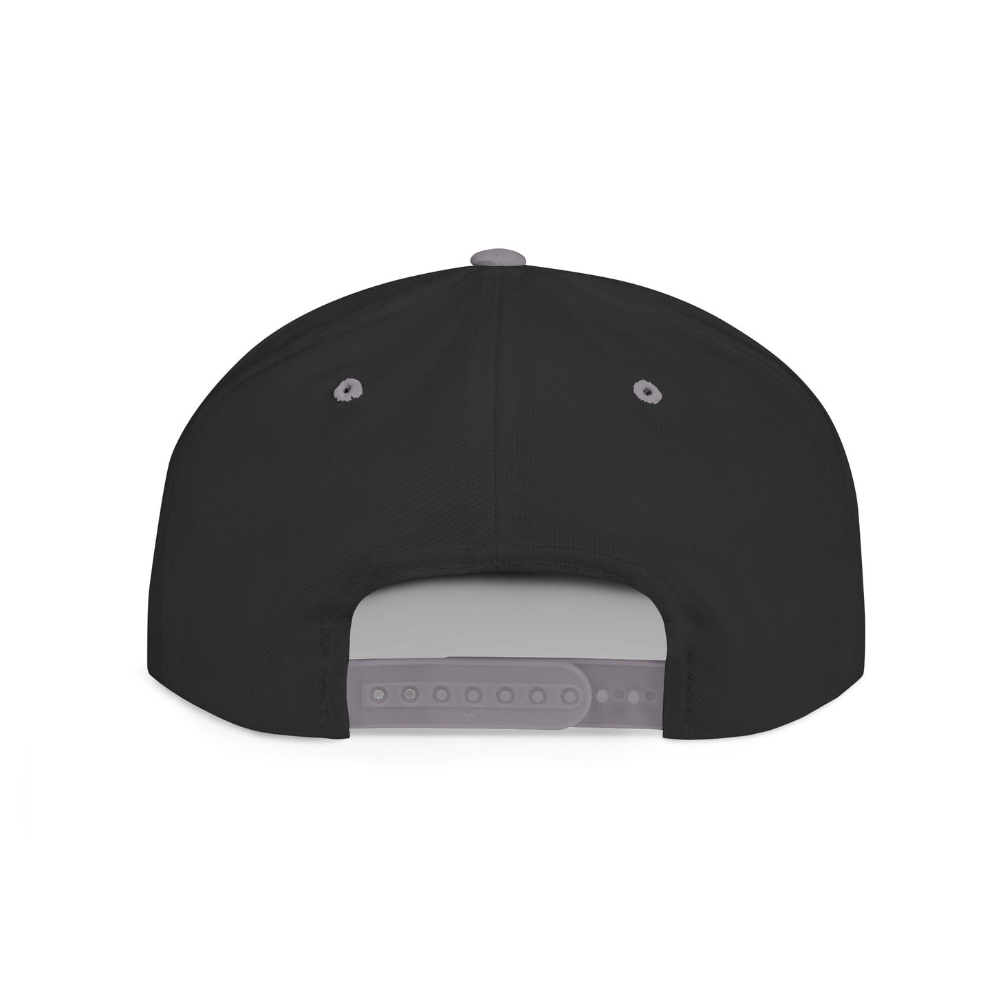 Arrest ICE Agents Snapback