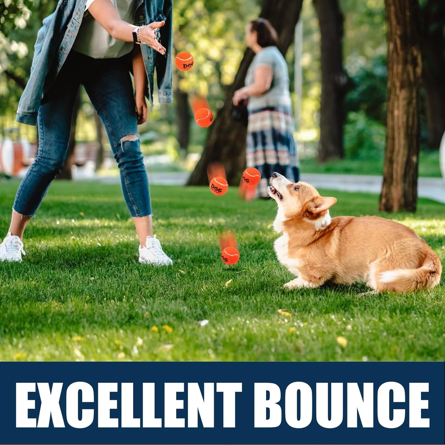 Tennis Balls for Dogs 12 Pack 2.5" Orange Dog Tennis Balls for Puppy Small Medium Dog Toys, Designed for Dogs Floating, Water-Hunting, Fetch, Fun Playing, Daily Exercise, Mid-Air Catching