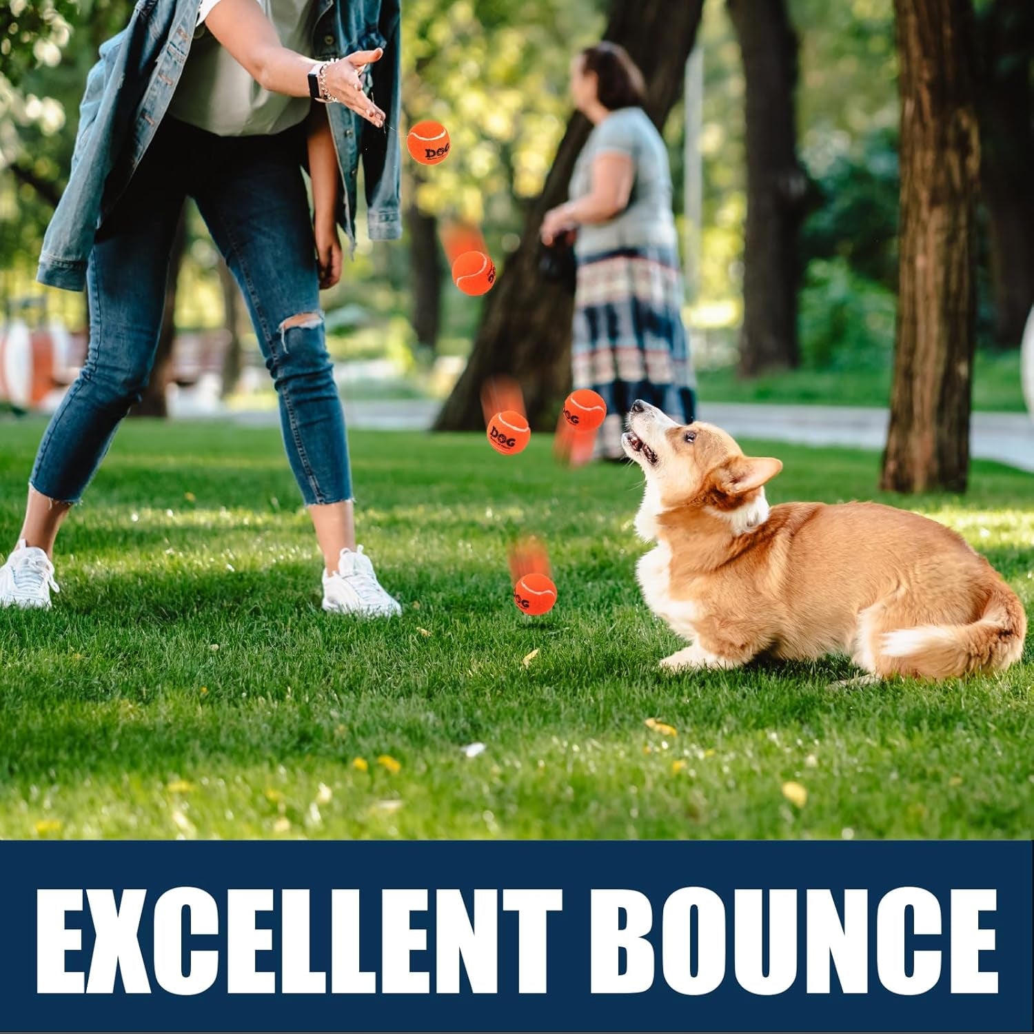Tennis Balls for Dogs 12 Pack 2.5" Orange Dog Tennis Balls for Puppy Small Medium Dog Toys, Designed for Dogs Floating, Water-Hunting, Fetch, Fun Playing, Daily Exercise, Mid-Air Catching
