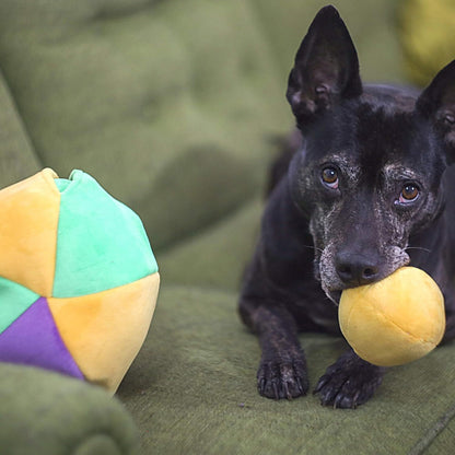 Hide a Ball Puzzle Dog Toy with 10 Plush Squeaker Balls (Small)