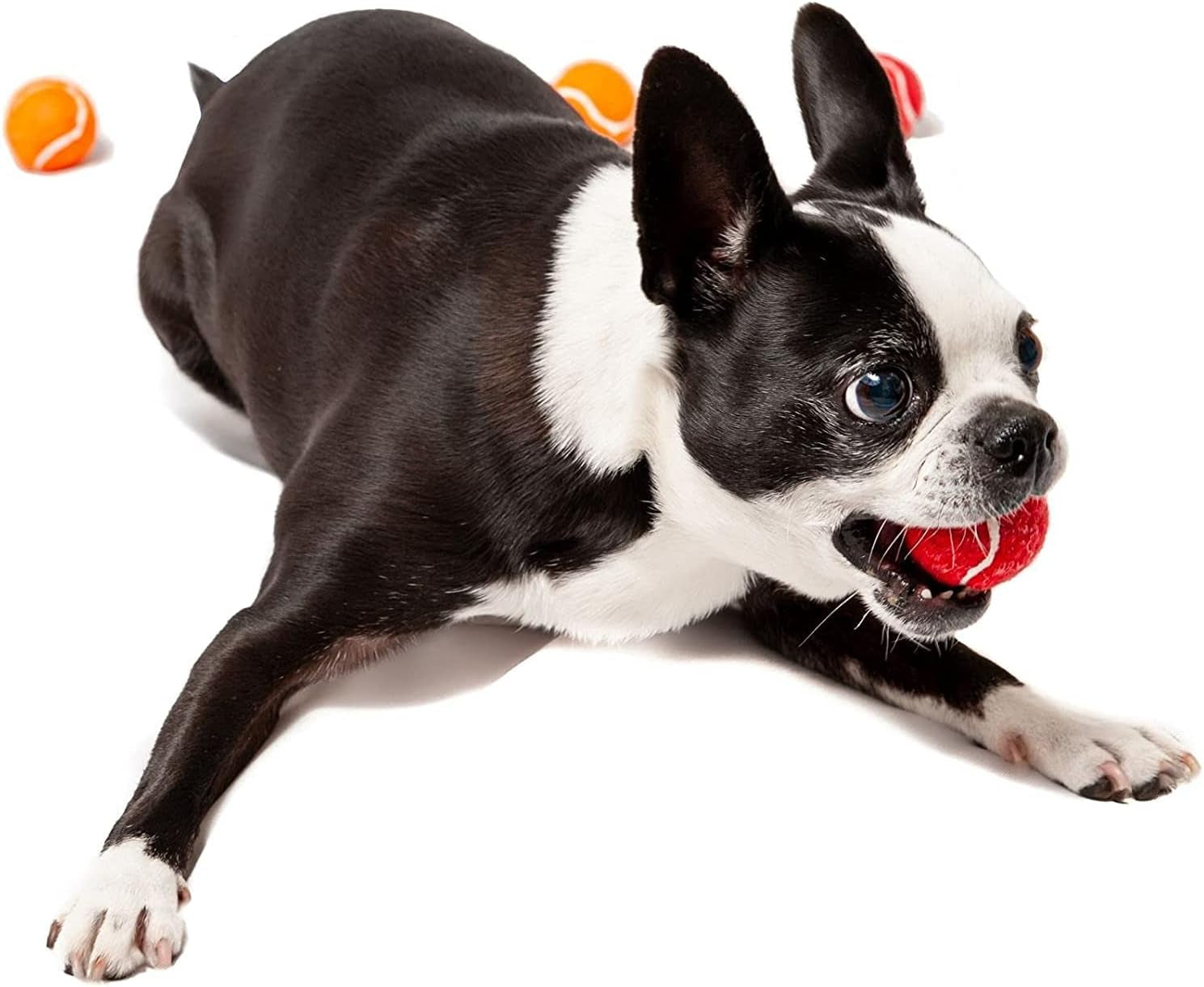 1.5" Mini Dog Tennis Balls Bulk Set of 25 Assorted Colors